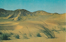 1 AK Namibia * Die Namib - Seit 2013 Sind Weite Teile Der Namib Als Namib Sand Sea („Namib-Sandmeer“) UNESCO-Welterbe * - Namibie