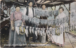 A Morning's Catch On The St Joe River - Idago - Speckled Trout And Black Bass - Altri & Non Classificati