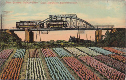 Omst. Haarlem- Viaduct Electr. Tram - Zandvoort Hiacinthenvelden - Haarlem