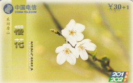 PREPAID PHONE CARD CINA (CK2419 - China