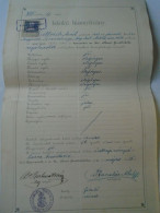 ZA478.120  Hungary Temesvár Főreáltanoda Dittrich Aurél 1911-School Certificate -dr. Berkeszi István Signature - Diplômes & Bulletins Scolaires