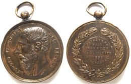 Médaille Léopold II. Prijskamp Voor Paarden 1898 Langemarck, Prix Chevaux - Other & Unclassified