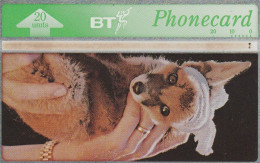 PHONE CARD REGNO UNITO LANDIS (CK5835 - BT Allgemeine