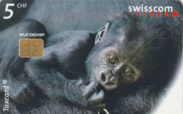 PHONE CARD SVIZZERA (CK5684 - Suisse