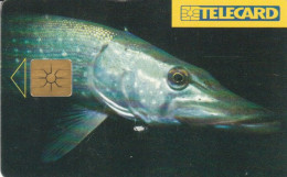 PHONE CARD REPUBBLICA CECA (CK5634 - Tchéquie