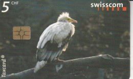 PHONE CARD SVIZZERA (CK5577 - Suisse