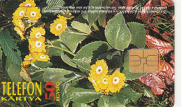 PHONE CARD UNGHERIA (CK6237 - Hungary