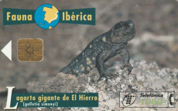 PHONE CARD SPAGNA FAUNA IBERICA (CK7135 - Emissions Basiques