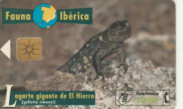 PHONE CARD SPAGNA FAUNA IBERICA (CK7133 - Basic Issues