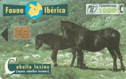 PHONE CARD SPAGNA FAUNA IBERICA (CK7130 - Emissions Basiques