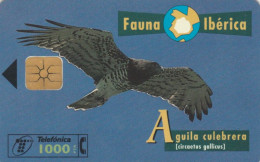 PHONE CARD SPAGNA FAUNA IBERICA (CK7120 - Emissions Basiques