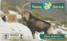 PHONE CARD SPAGNA FAUNA IBERICA (CK7118 - Emisiones Básicas