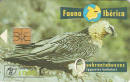 PHONE CARD SPAGNA FAUNA IBERICA (CK7099 - Emissioni Di Base