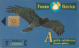 PHONE CARD SPAGNA FAUNA IBERICA (CK7098 - Basisausgaben