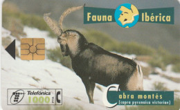 PHONE CARD SPAGNA FAUNA IBERICA (CK7104 - Emissions Basiques