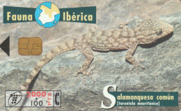 PHONE CARD SPAGNA FAUNA IBERICA (CK7105 - Basic Issues