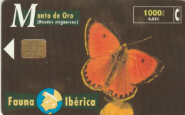 PHONE CARD SPAGNA FAUNA IBERICA (CK7096 - Basic Issues