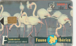 PHONE CARD SPAGNA FAUNA IBERICA (CK7109 - Basic Issues