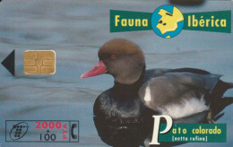 PHONE CARD SPAGNA FAUNA IBERICA (CK7095 - Emisiones Básicas