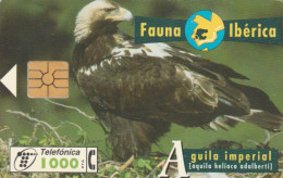 PHONE CARD SPAGNA FAUNA IBERICA (CK7094 - Basisuitgaven