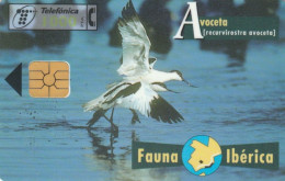 PHONE CARD SPAGNA FAUNA IBERICA (CK7088 - Basisausgaben