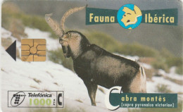 PHONE CARD SPAGNA FAUNA IBERICA (CK7076 - Basisausgaben