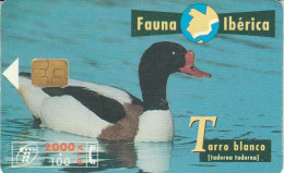 PHONE CARD SPAGNA FAUNA IBERICA (CK7090 - Basisuitgaven