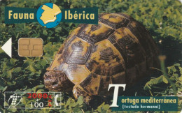 PHONE CARD SPAGNA FAUNA IBERICA (CK7064 - Emissioni Di Base