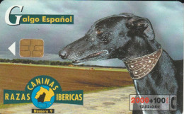 PHONE CARD SPAGNA FAUNA IBERICA (CK7065 - Basisausgaben