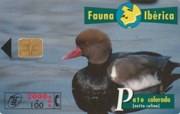 PHONE CARD SPAGNA FAUNA IBERICA (CK7139 - Emisiones Básicas