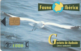 PHONE CARD SPAGNA FAUNA IBERICA (CK7244 - Emissioni Di Base