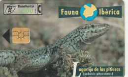 PHONE CARD SPAGNA FAUNA IBERICA (CK7238 - Emissioni Di Base