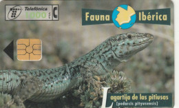 PHONE CARD SPAGNA FAUNA IBERICA (CK7238 - Emissions Basiques