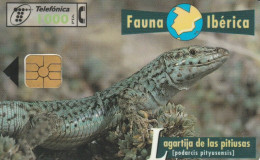 PHONE CARD SPAGNA FAUNA IBERICA (CK7241 - Basisuitgaven