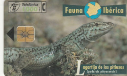 PHONE CARD SPAGNA FAUNA IBERICA (CK7240 - Basisuitgaven