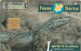 PHONE CARD SPAGNA FAUNA IBERICA (CK7239 - Emissioni Di Base