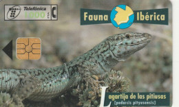 PHONE CARD SPAGNA FAUNA IBERICA (CK7237 - Basisuitgaven