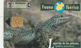 PHONE CARD SPAGNA FAUNA IBERICA (CK7236 - Emissioni Di Base