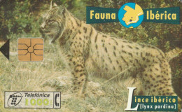 PHONE CARD SPAGNA FAUNA IBERICA (CK7233 - Basisausgaben