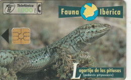 PHONE CARD SPAGNA FAUNA IBERICA (CK7235 - Emissions Basiques