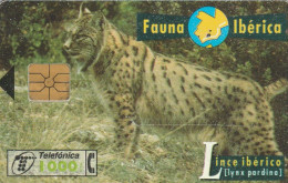 PHONE CARD SPAGNA FAUNA IBERICA (CK7211 - Basic Issues