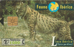PHONE CARD SPAGNA FAUNA IBERICA (CK7211 - Emissions Basiques