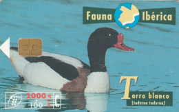 PHONE CARD SPAGNA FAUNA IBERICA (CK7204 - Emissions Basiques