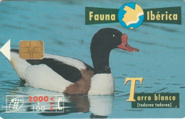 PHONE CARD SPAGNA FAUNA IBERICA (CK7208 - Basic Issues