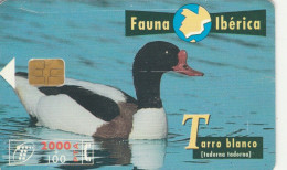 PHONE CARD SPAGNA FAUNA IBERICA (CK7205 - Emissions Basiques