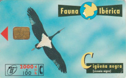 PHONE CARD SPAGNA FAUNA IBERICA (CK7199 - Emissioni Di Base