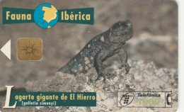 PHONE CARD SPAGNA FAUNA IBERICA (CK7197 - Basisuitgaven