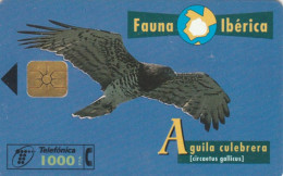 PHONE CARD SPAGNA FAUNA IBERICA (CK7192 - Emissioni Di Base