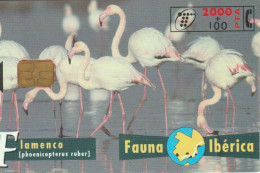 PHONE CARD SPAGNA FAUNA IBERICA (CK7195 - Emissioni Di Base