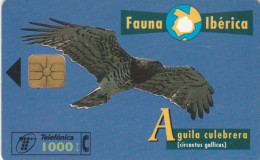 PHONE CARD SPAGNA FAUNA IBERICA (CK7190 - Basic Issues
